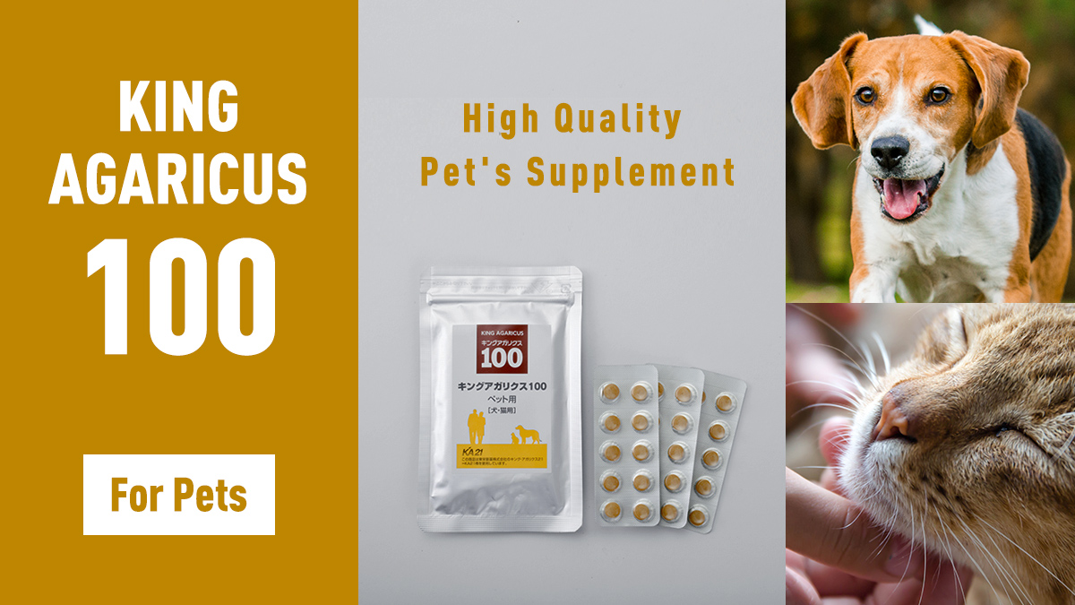 King Agaricus 100 for Pets