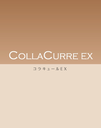 CollaCurre EX