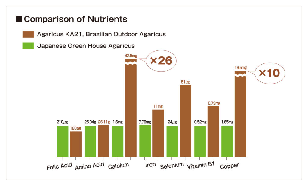 King Agaricus KA21