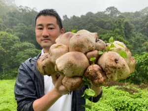 King Agaricus KA21