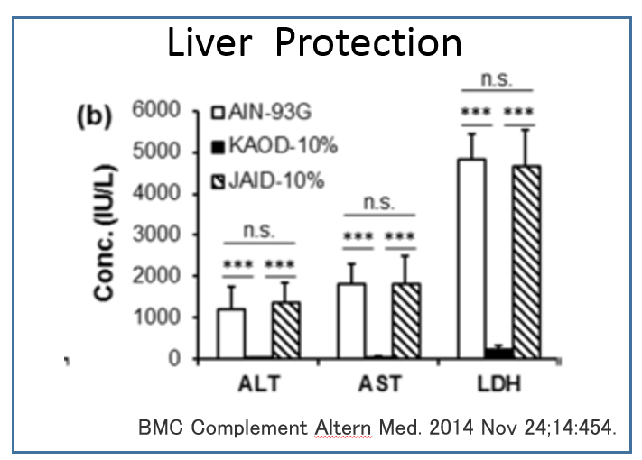 Liver