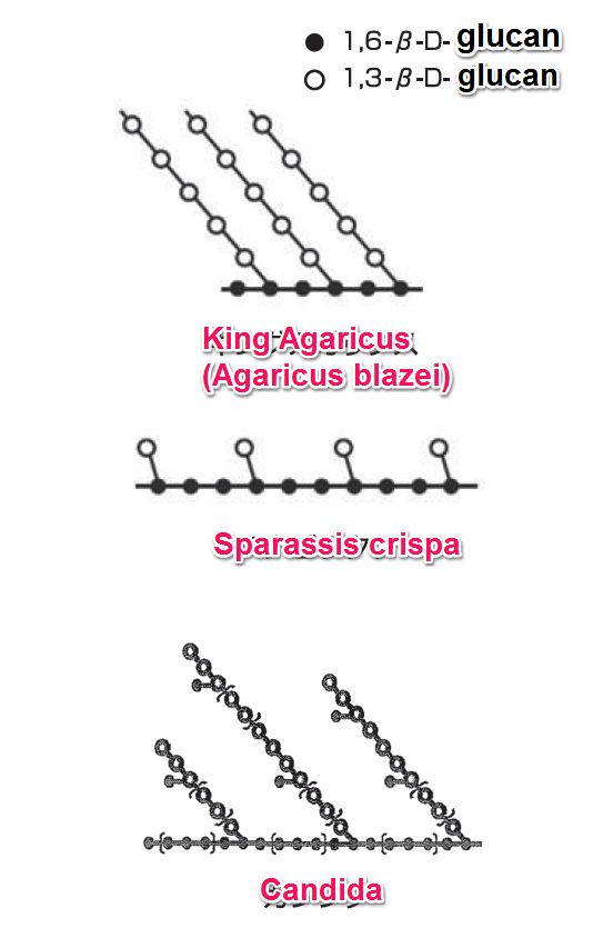 beta-glucan